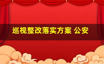 巡视整改落实方案 公安